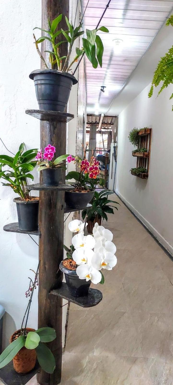 Casa Canto E Aconchego Florianópolis Екстериор снимка